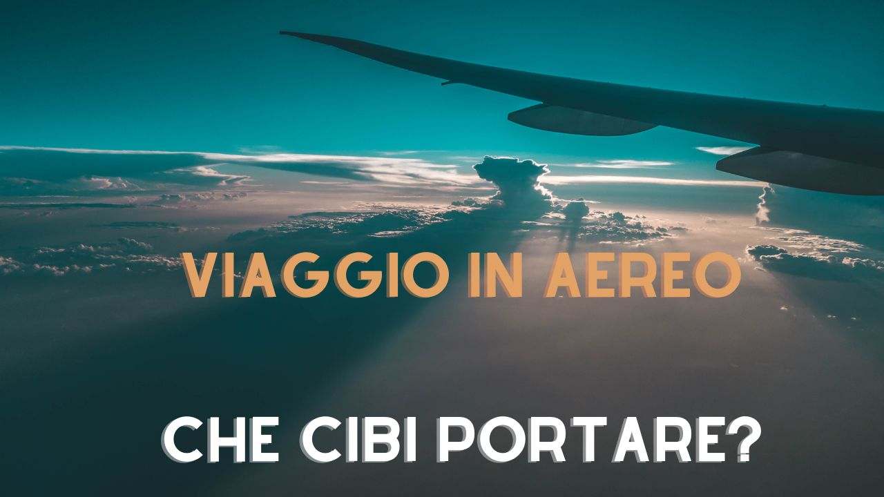 Cibi Viaggio Aereo (Foto Canva) - bonus.it 20230807