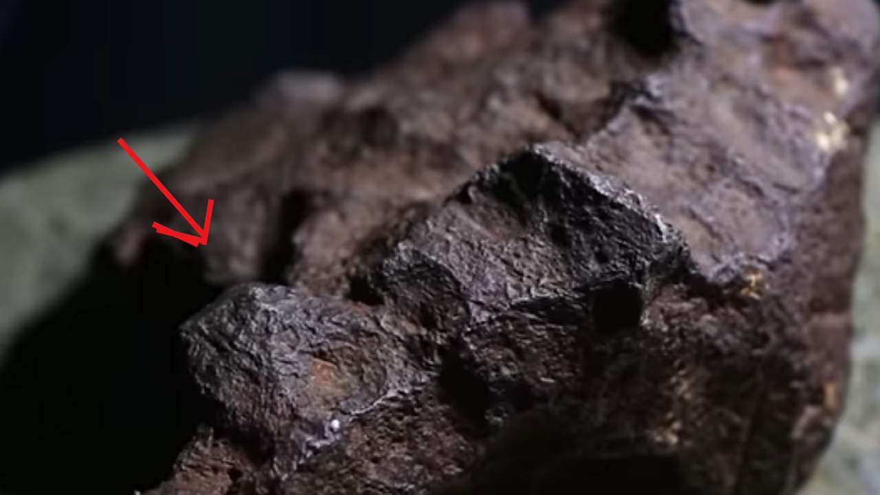 meteorite scoperto in michigan