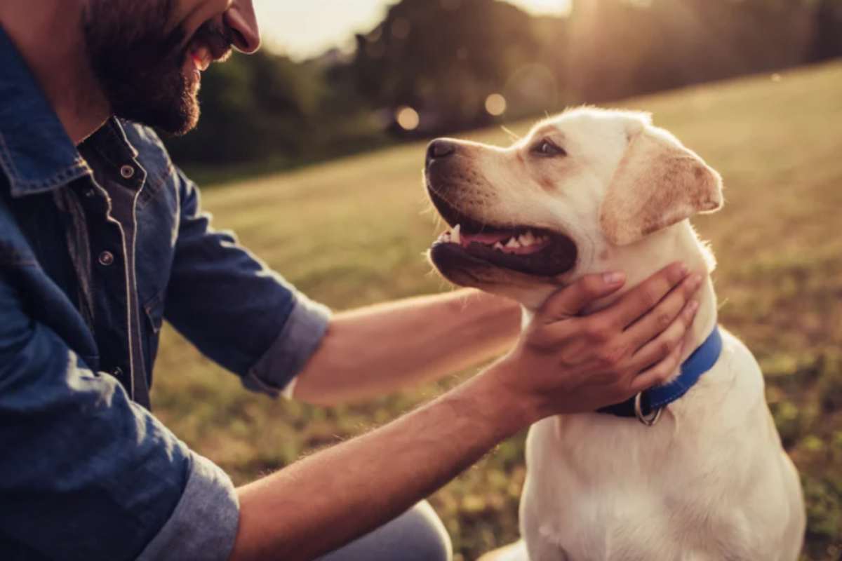 Ordinanza cani: guinzaglio e museruola